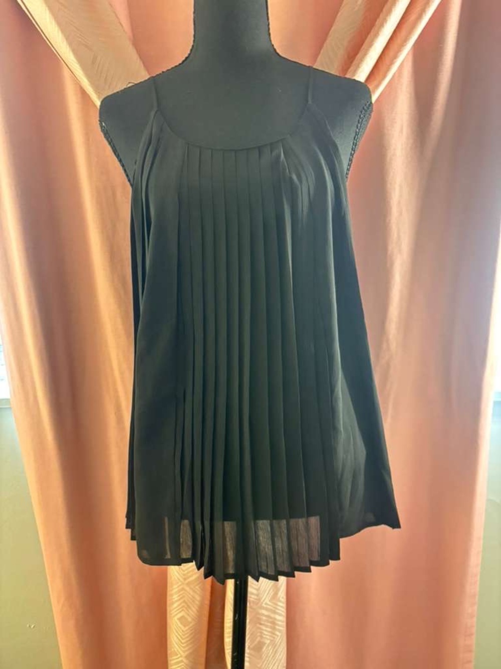 Express Black Sleeveless Top with Pleated Front